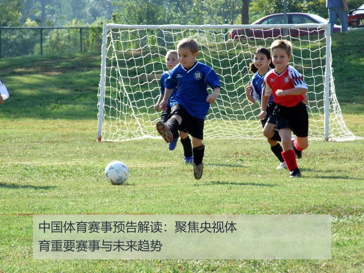 中国体育赛事预告解读：聚焦央视体育重要赛事与未来趋势