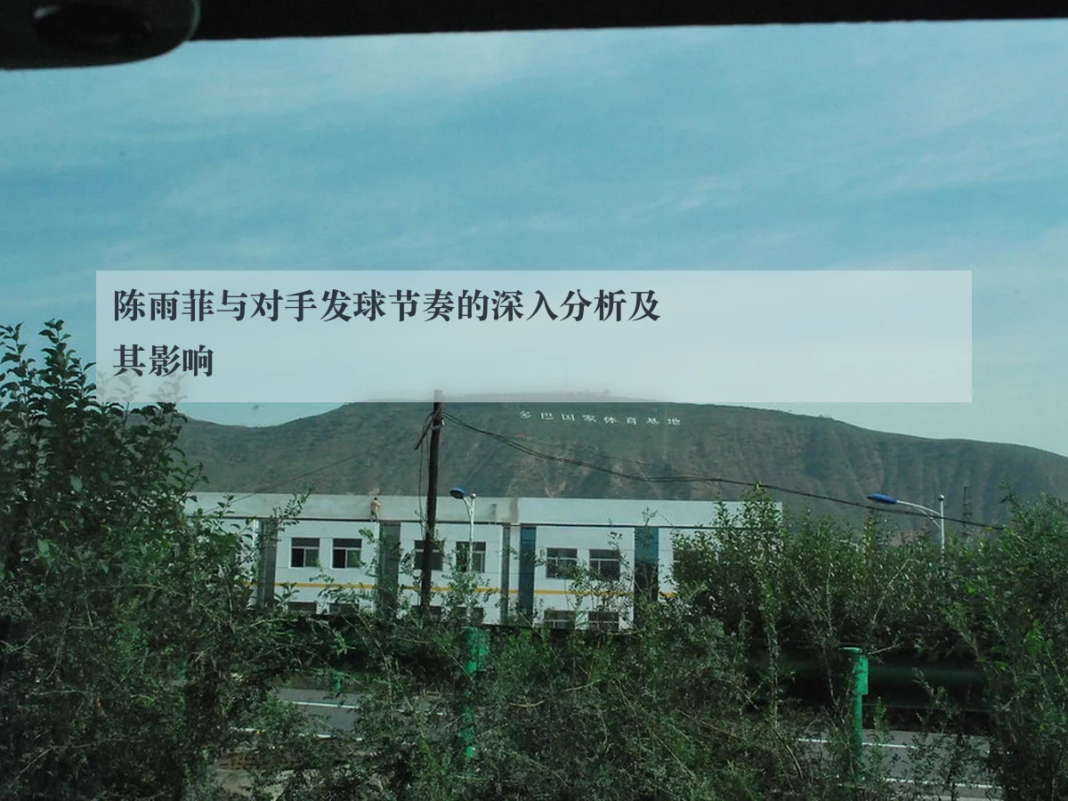 陈雨菲与对手发球节奏的深入分析及其影响